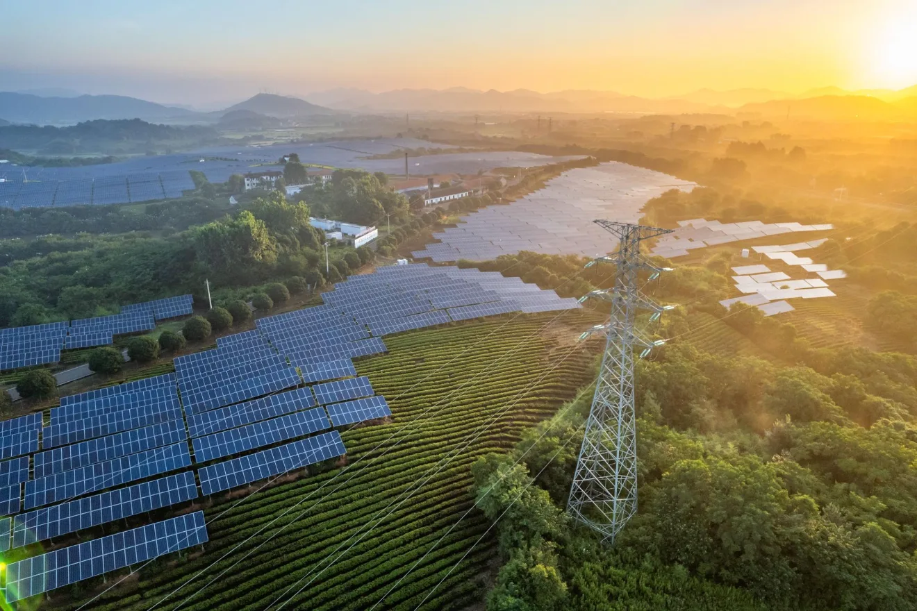 Utility-Scale Solar